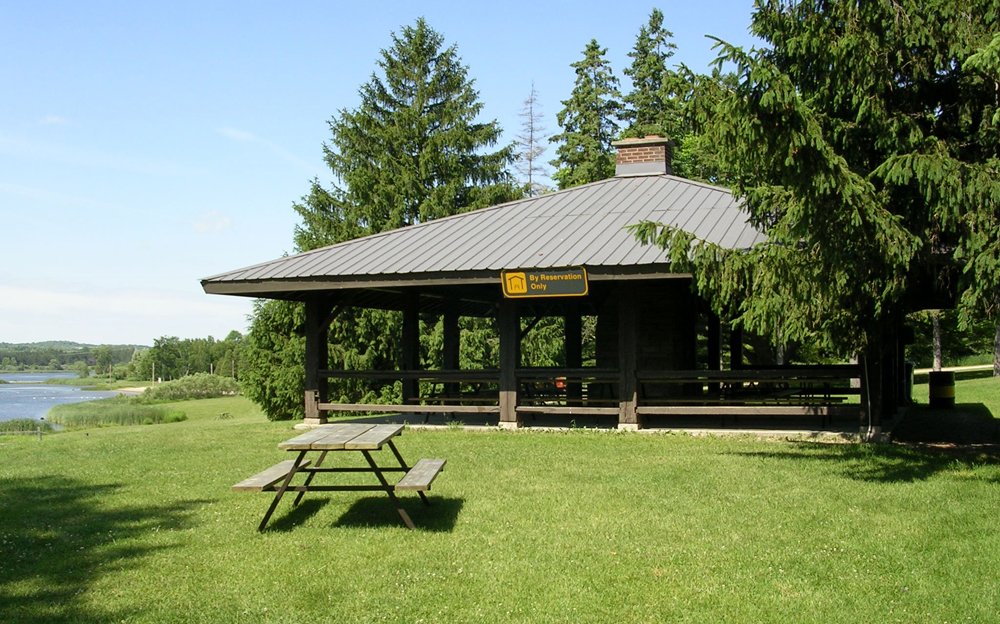 Community Summer Picnic 2025